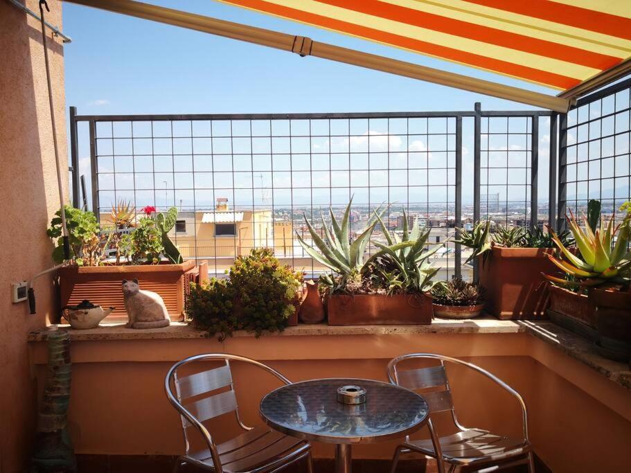 Apartament Rosa'S Terrace Roma Panoramic Penthouse Zewnętrze zdjęcie